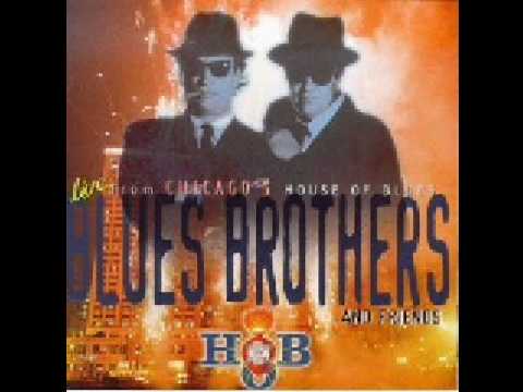 Текст песни Blues Brothers - All She Wants To Do Is Rock