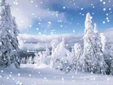 Текст песни Таисия Повалий - Снегом Белым