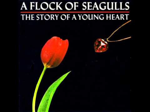 Текст песни A Flock Of Seagulls - End