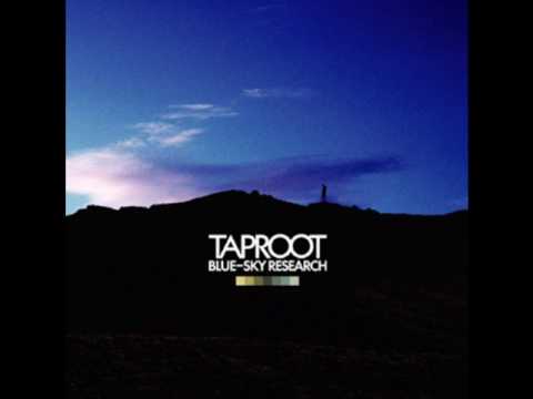 Текст песни Taproot - Birthday