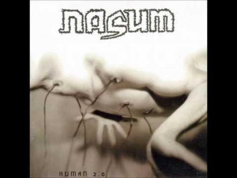 Текст песни NASUM - Gargoyles And Grotesques