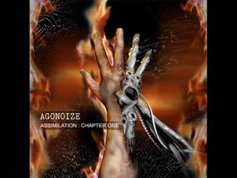 Текст песни Agonoize - Lost You