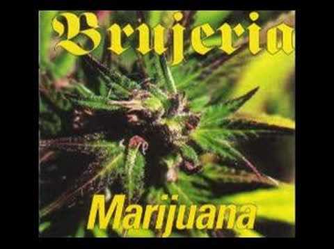 Текст песни BRUJERIA - Marijuana Macarena Cover
