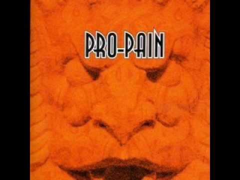 Текст песни PRO-PAIN - Don