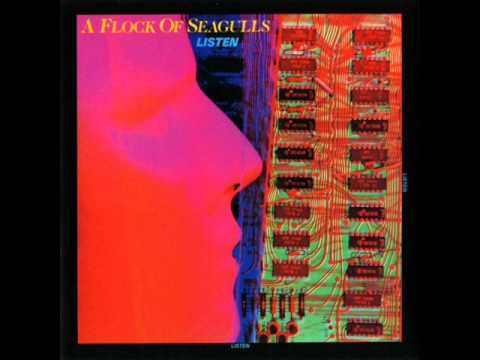 Текст песни A Flock Of Seagulls - What Am I Supposed to Do
