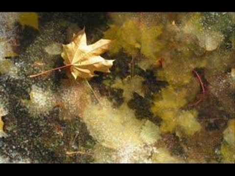 Текст песни DIANA KRALL - Autumn Leaves(Jazz)