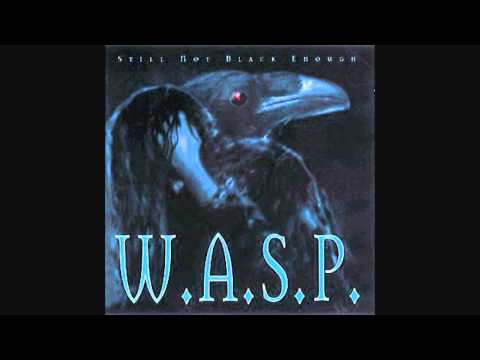 Текст песни W.A.S.P. - Still Not Black Enough