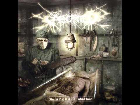 Текст песни Aborted - Descend To Extirpation