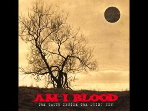 Текст песни AM I BLOOD - Struggle In Disarray