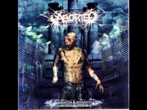 Текст песни Aborted - The Chondrin Enigma