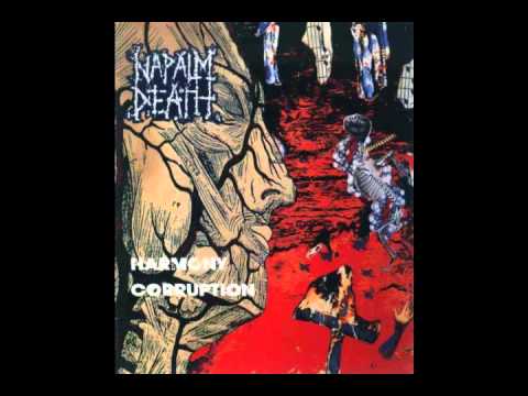 Текст песни Napalm Death - If The Truth be Known