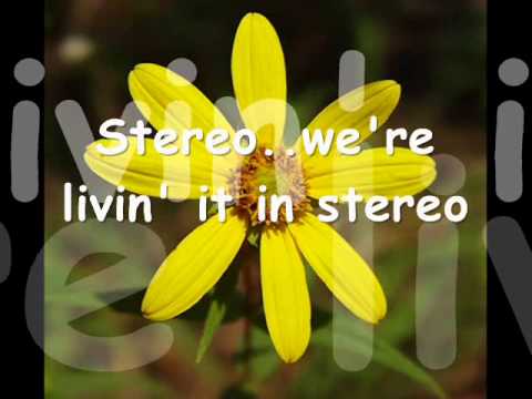 Текст песни  - Stereo