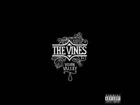 Текст песни The Vines - Vision Valley