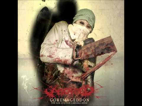 Текст песни Aborted - The Saw & The Carnage Done