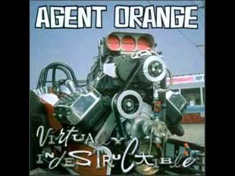 Текст песни AGENT ORANGE - Make Up Your Mind And Do What You Want To Do