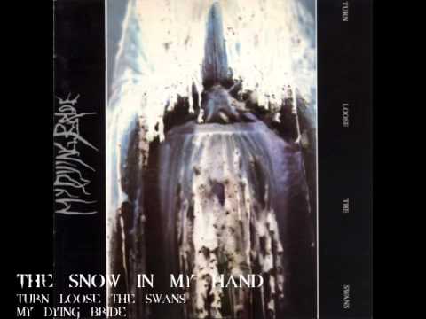 Текст песни MY DYING BRIDE - The Snow in my Hand