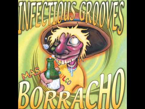 Текст песни INFECTIOUS GROOVES - Citizen Of The Nation