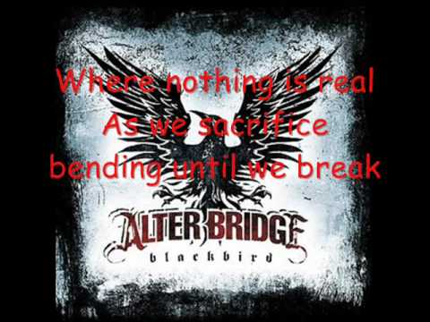 Текст песни Alter Bridge - White Knuckles
