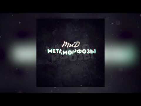Текст песни DJ MriD - Метаморфозы