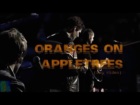 Текст песни  - Oranges On Appletrees