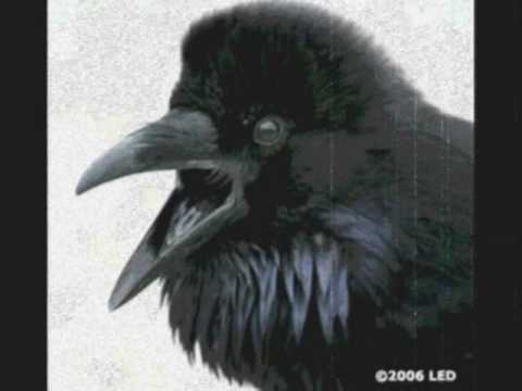 Текст песни  - The Raven
