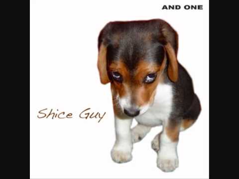 Текст песни  - Shice Guy