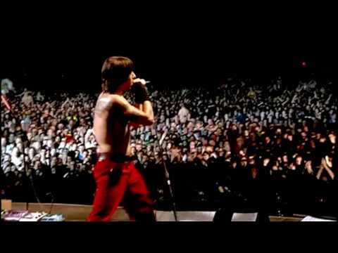 Текст песни Red Hot Chili Peppers - Throw Away Your Television