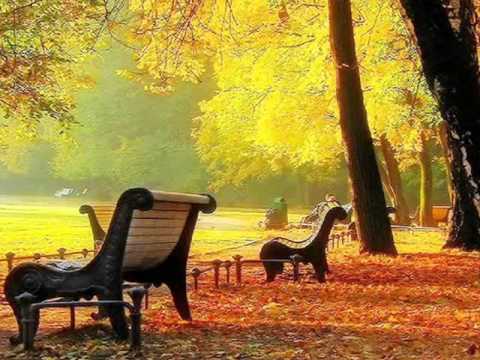 Текст песни  - Золотая осень