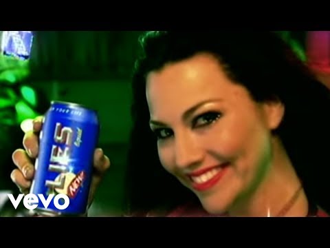 Текст песни Evanescence - Everybodies fool