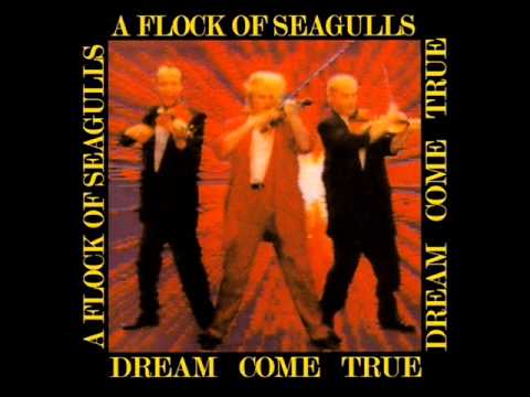 Текст песни A Flock Of Seagulls - Hot Tonight