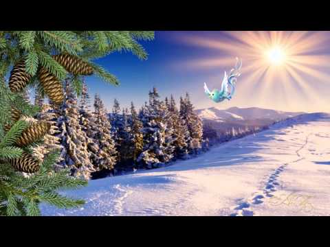 Текст песни  - Диалог у новогодней елки