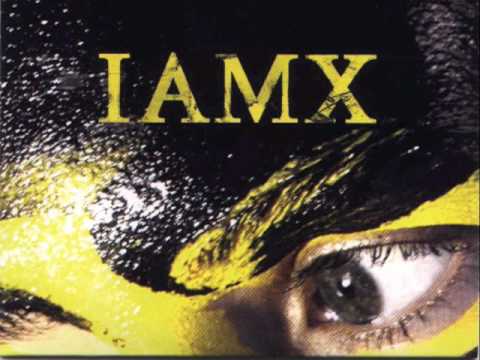 Текст песни IAMX - President (Acoustic Version)