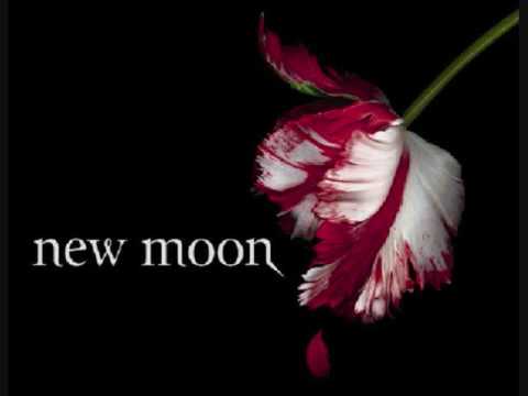 Текст песни  - When It Rains (New Moon Soundtrack)