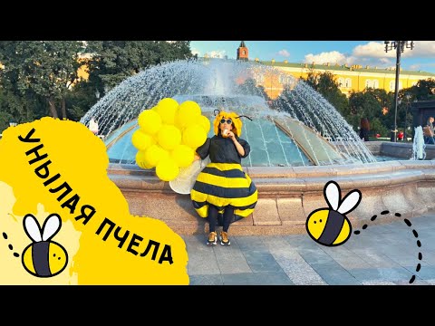 Текст песни  - Унылая пчела