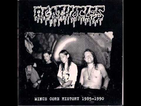 Текст песни AGATHOCLES - Judged by Appearance