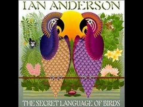 Текст песни IAN ANDERSON - Sanctuary