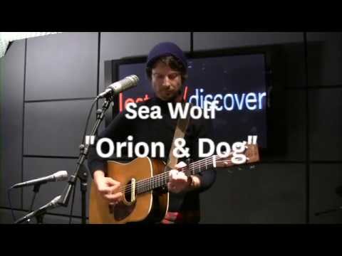 Текст песни Sea Wolf - Orion & Dog
