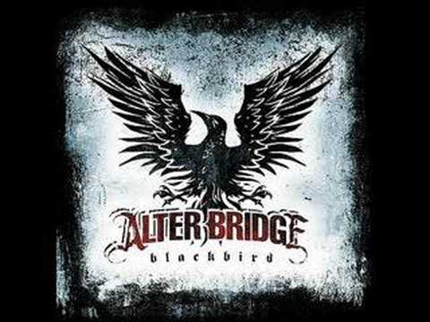 Текст песни Alter Bridge - Blackbird