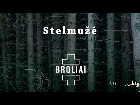 Текст песни Aistė Smilgevičiūtė Ir Skylė - Stelmužė