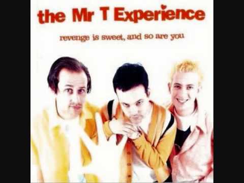 Текст песни The Mr. T Experience - Hell Of Dumb