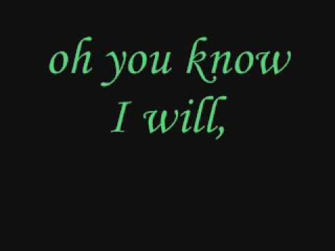 Текст песни Alison Krauss - I Will (Beatles song)