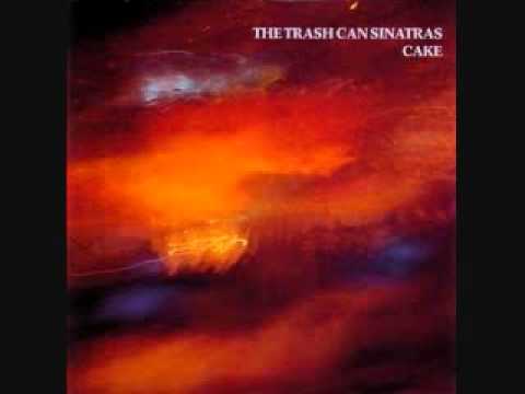 Текст песни Trash Can Sinatras - Thrupenny Years