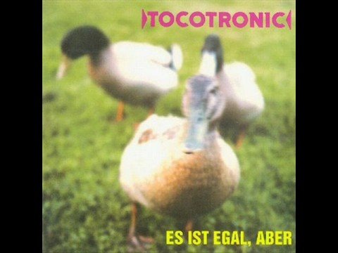 Текст песни Tocotronic - Mein Neues Hobby