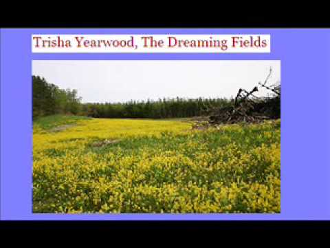 Текст песни Trisha Yearwood - The Dreaming Fields