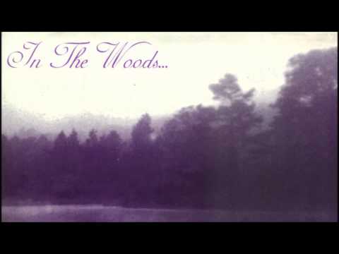 Текст песни In The Woods - Yearning The Seeds Of A New Dimension