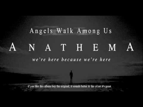 Текст песни  - Angels Walk Among Us