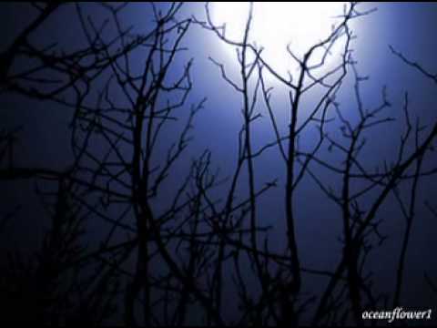 Текст песни  - альбом Shepherd Moons 03. How Can I Keep From Singing