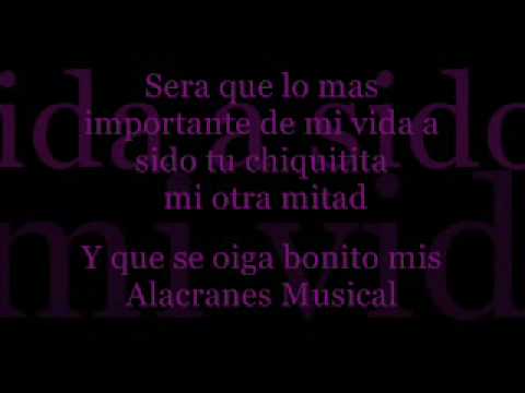 Текст песни Alacranes Musical - Mi Otra Mitad