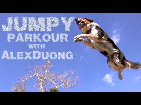 Текст песни That Dog - Jump