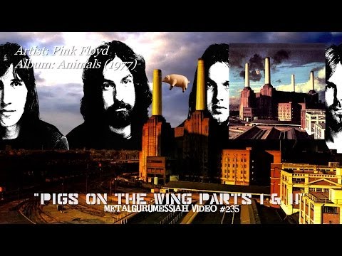 Текст песни  - Pigs on the Wing (Part 2)